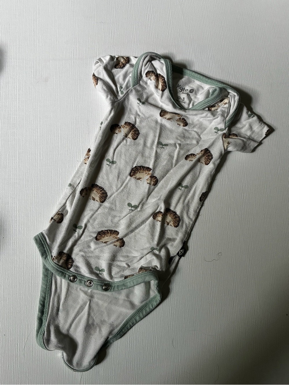 Adorable Kyte Baby Hedgehog Print Baby Bodysuit